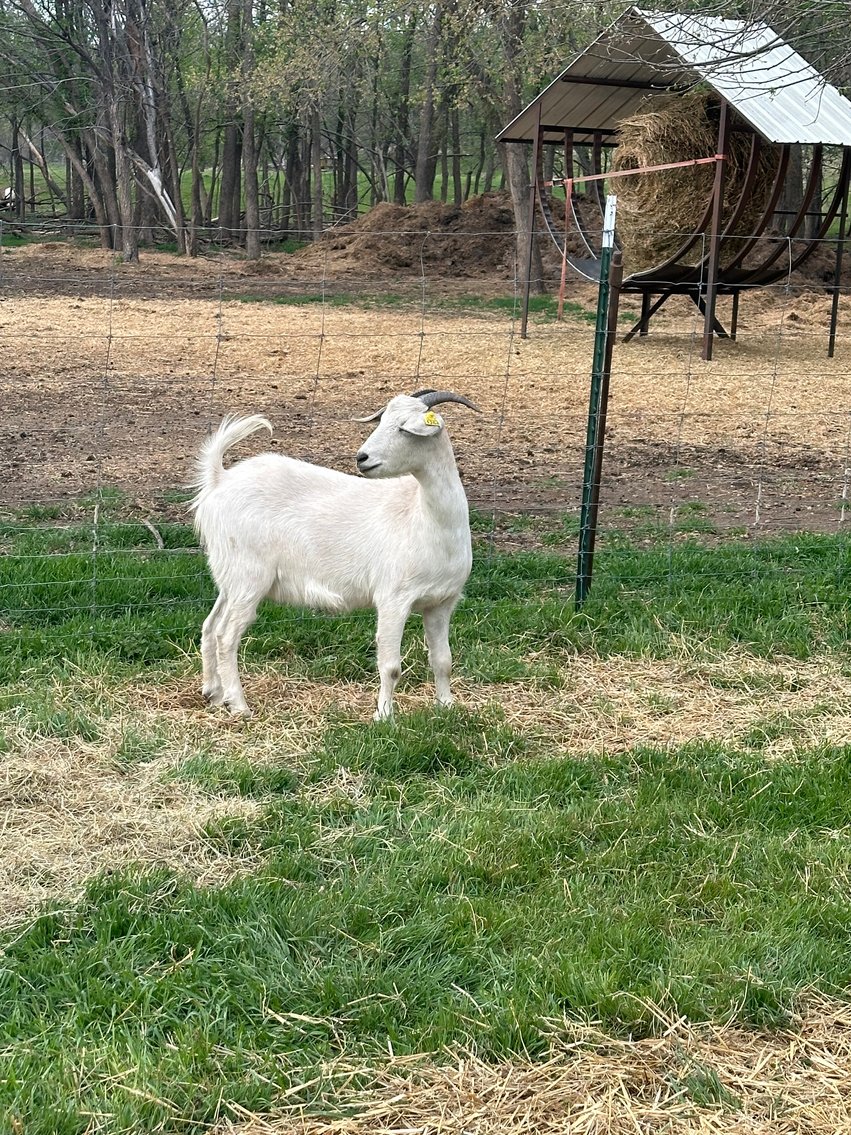 Image for 2025 | Bluegrass Performance Invitational