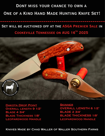 Image for 2025 | ASGA Premier Sale