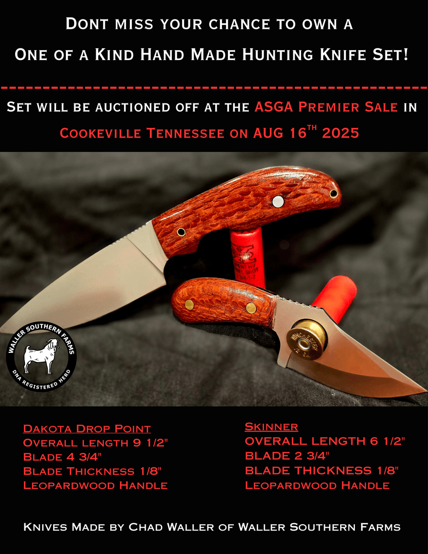 Image for 2025 | ASGA Premier Sale