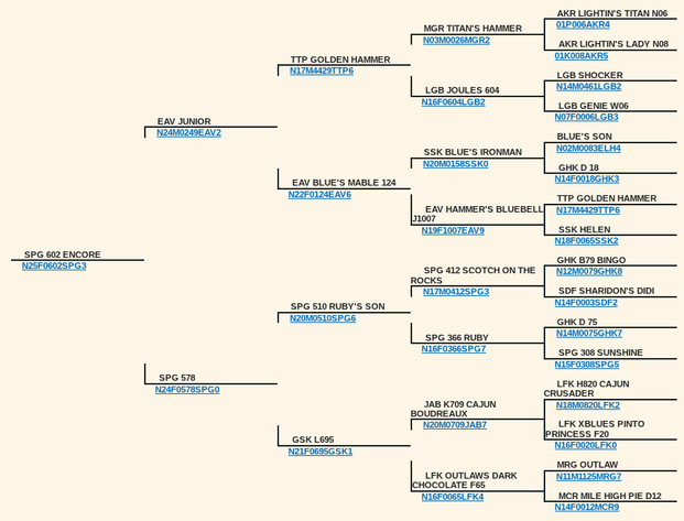 Image for 2025 | Oklahoma Hills Invitational
