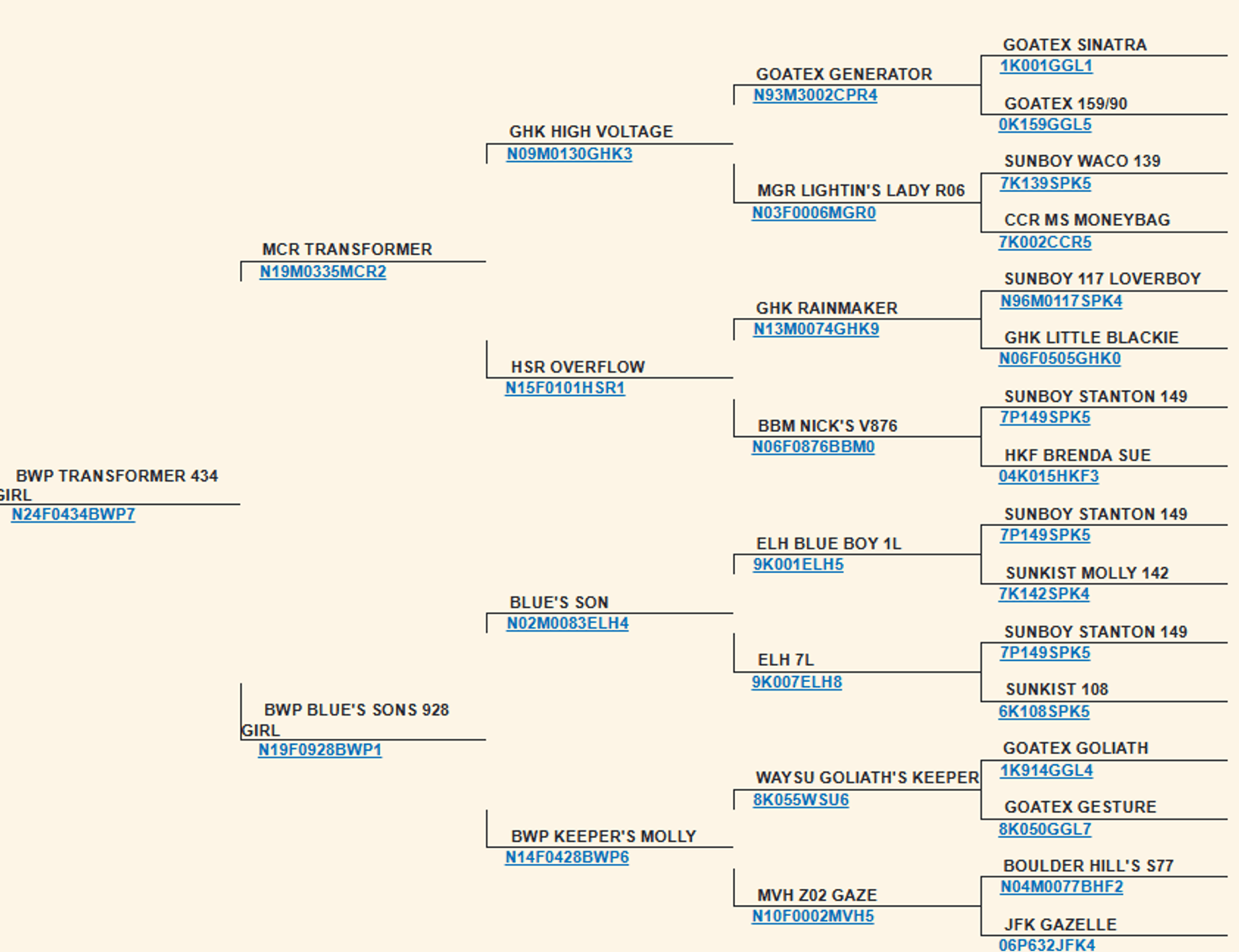 Image for 2025 | Oklahoma Hills Invitational