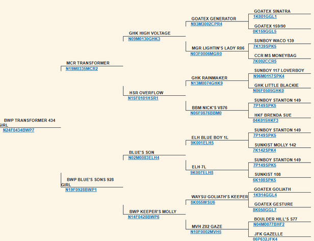 Image for 2025 | Oklahoma Hills Invitational