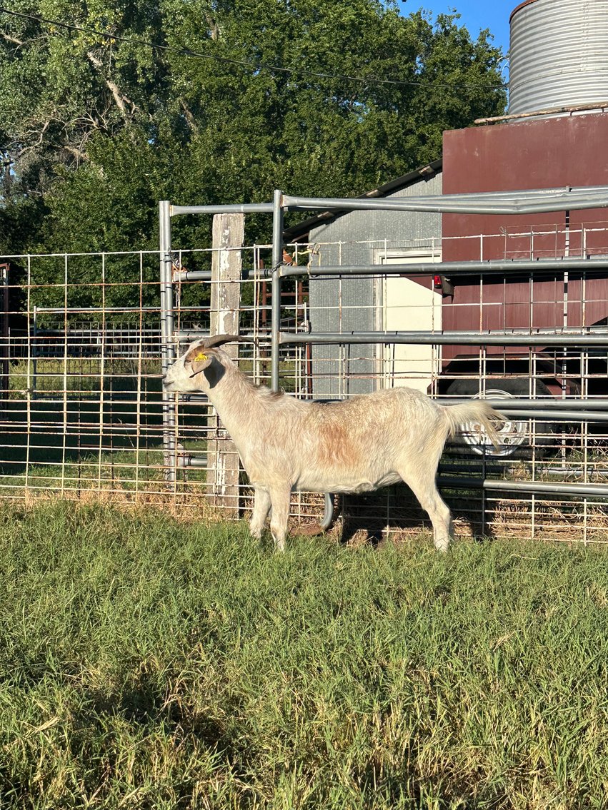 Image for 2025 | Oklahoma Hills Invitational