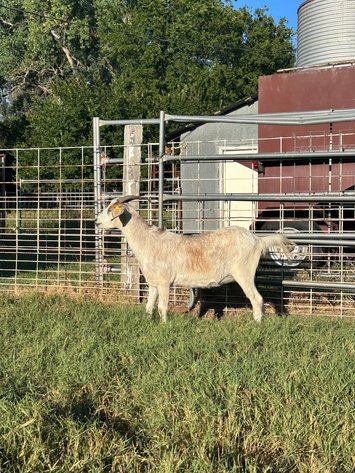 Image for 2025 | Oklahoma Hills Invitational