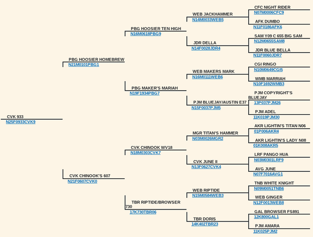 Image for 2025 | Cream of Crop- Kiko Sale