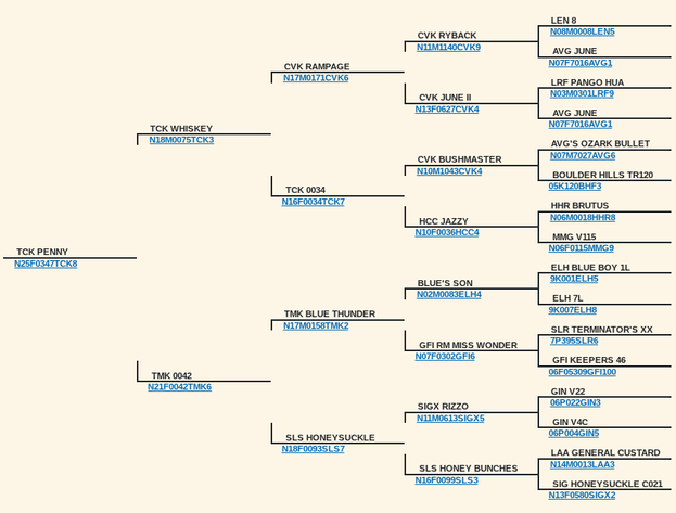 Image for 2025 | Cream of Crop- Kiko Sale