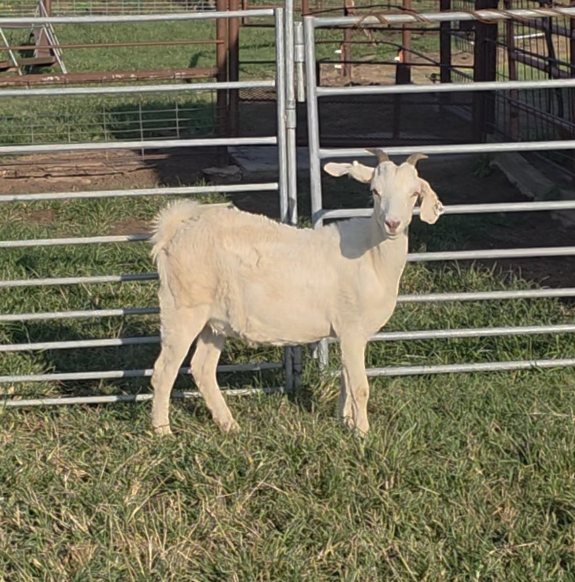 Image for 2025 | Oklahoma Hills Invitational