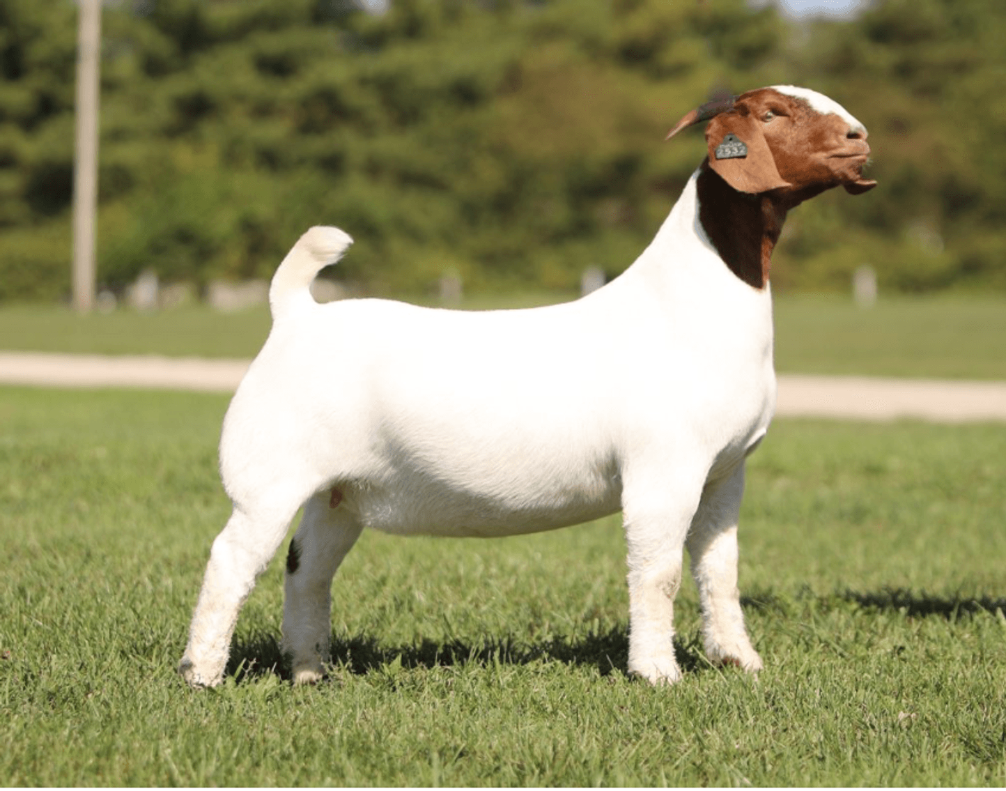 Image for 2025 | The Twilight Twelve