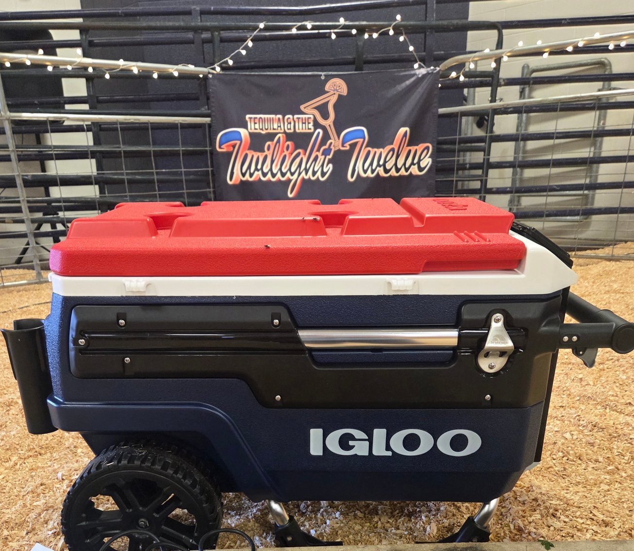 Image for 2025 | The Twilight Twelve