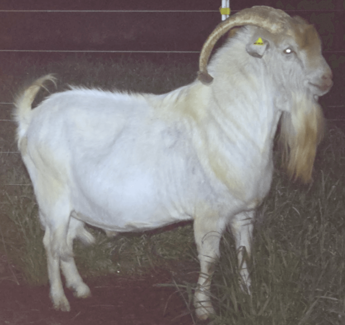 Image for 2026 | The Hangover Frozen Sale