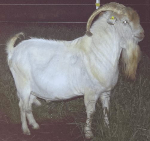 Image for 2026 | The Hangover Frozen Sale