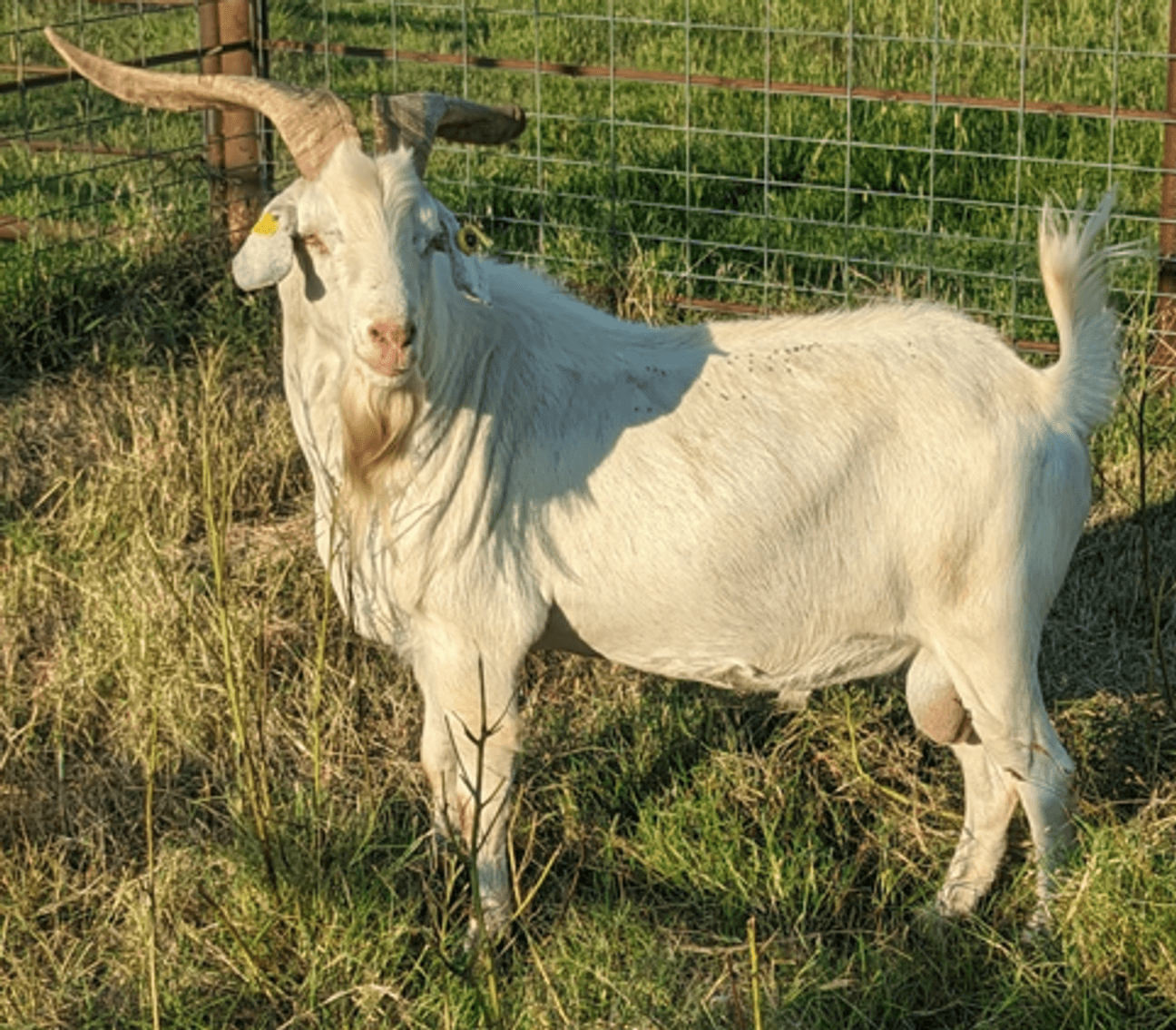 Image for 2026 | The Hangover Frozen Sale