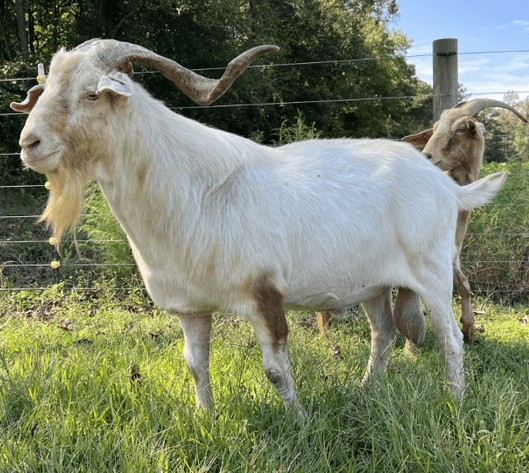 Image for 2026 | The Hangover Frozen Sale