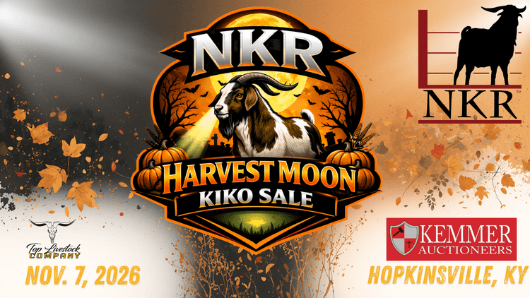 Image for 2026 | NKR Harvest Moon Sale