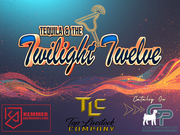 Image for 2026 | The Twilight Twelve Sale