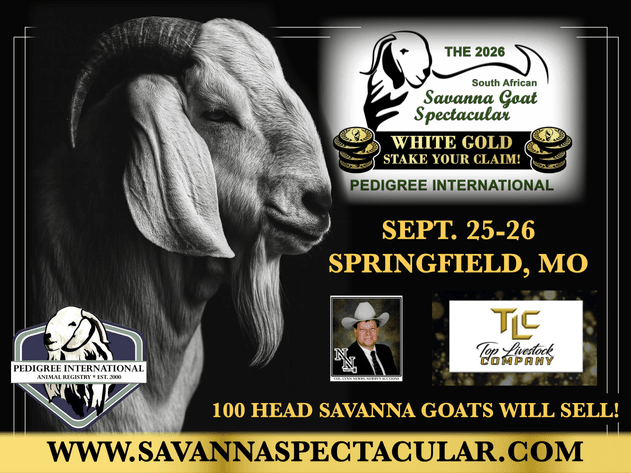 Image for 2026 | Savanna Spectacular Sale