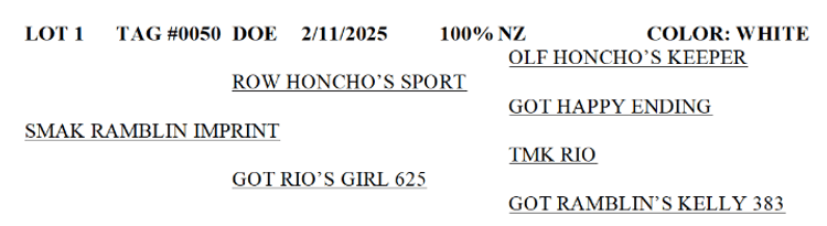 Image for 2026 | NKR Spotlight Sale