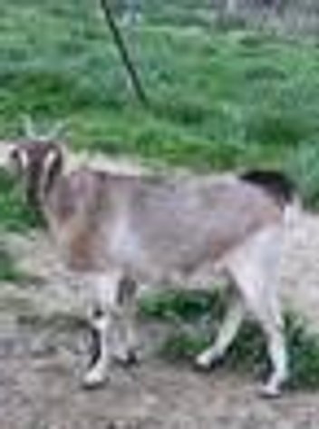 Image for 2026 | NKR Spotlight Sale