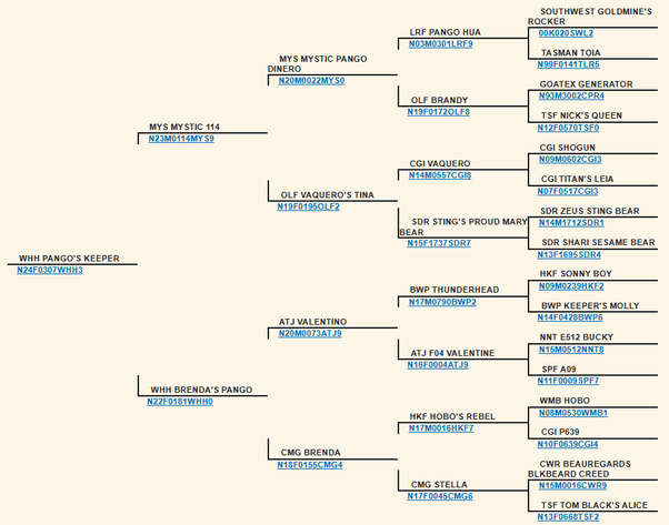 Image for 2026 | SEKGA Sale
