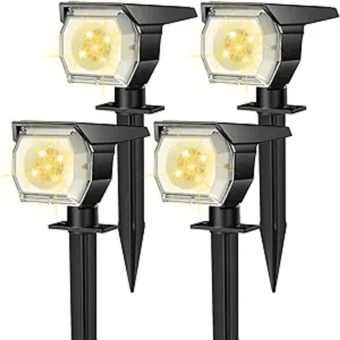 Image for Auction #214