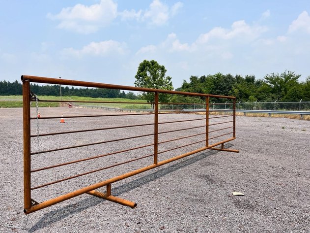 Image for RING 4 - 16th ANNUAL SUMMER ABSOLUTE AUCTION