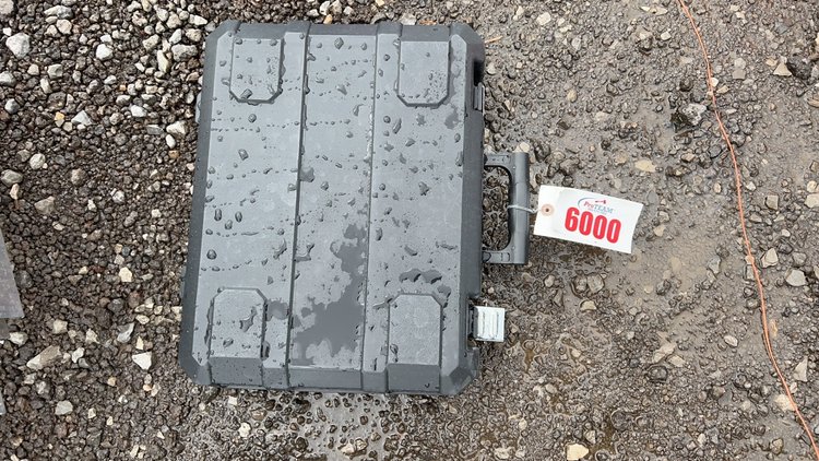 Image for RING 6 - 16th ANNUAL SUMMER ABSOLUTE AUCTION