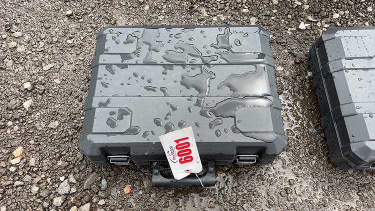 Image for RING 6 - 16th ANNUAL SUMMER ABSOLUTE AUCTION