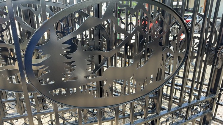 Image for 20' BI PARTING GATE