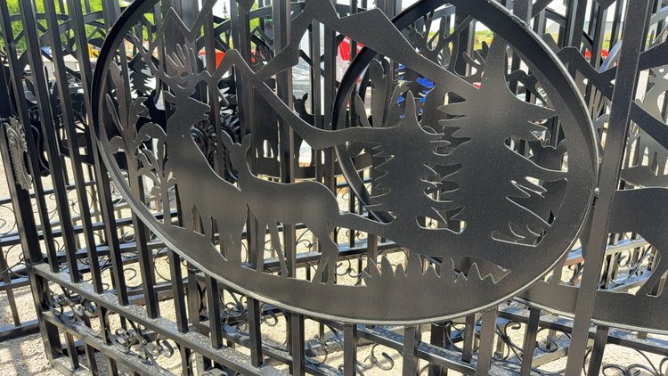 Image for 20' BI PARTING GATE