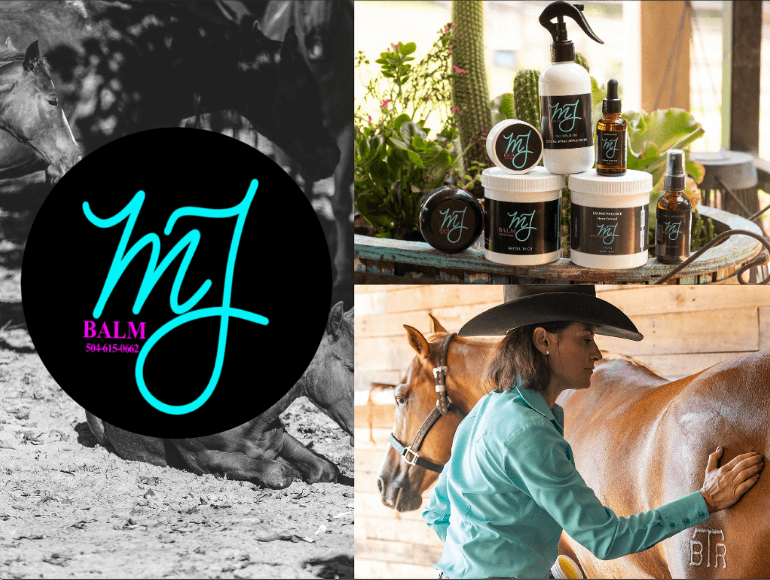 Image for 2026 May Performance Horse Sale