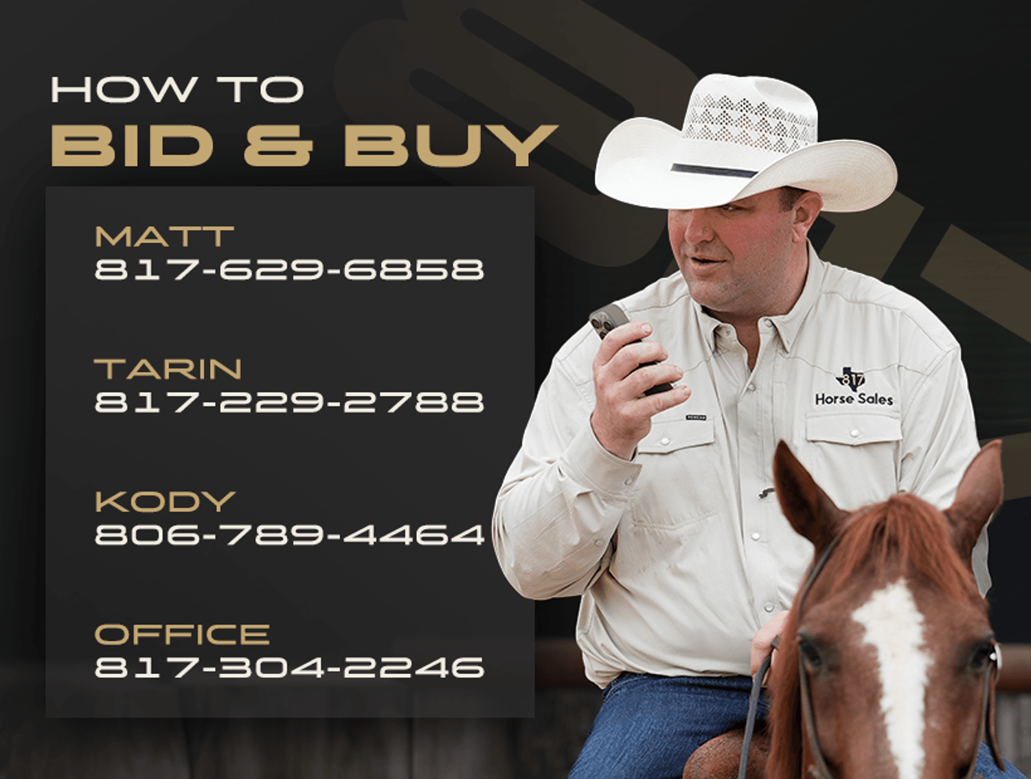 Image for 2026 July -Performance Horse Sale