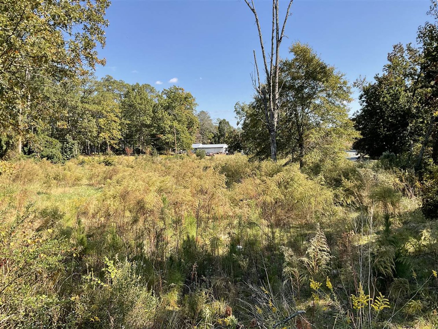 Image for Mr. & Mrs. R Mullis Estate (deceased)