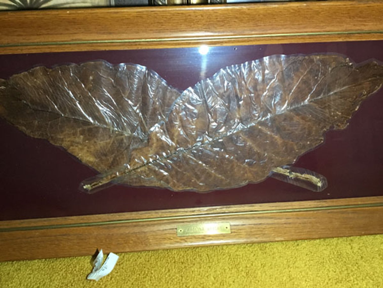 Image for Pikeville Personal Property Auction!