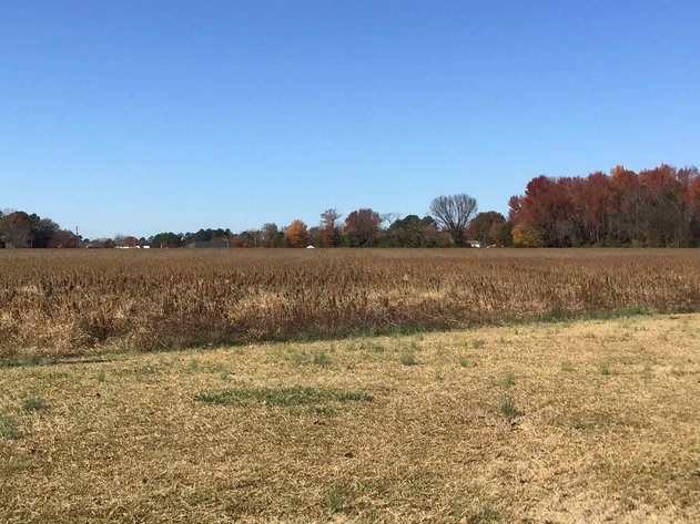 Image for 10 Acres Adjacent to Canterbury Subdivision in Dunn, NC