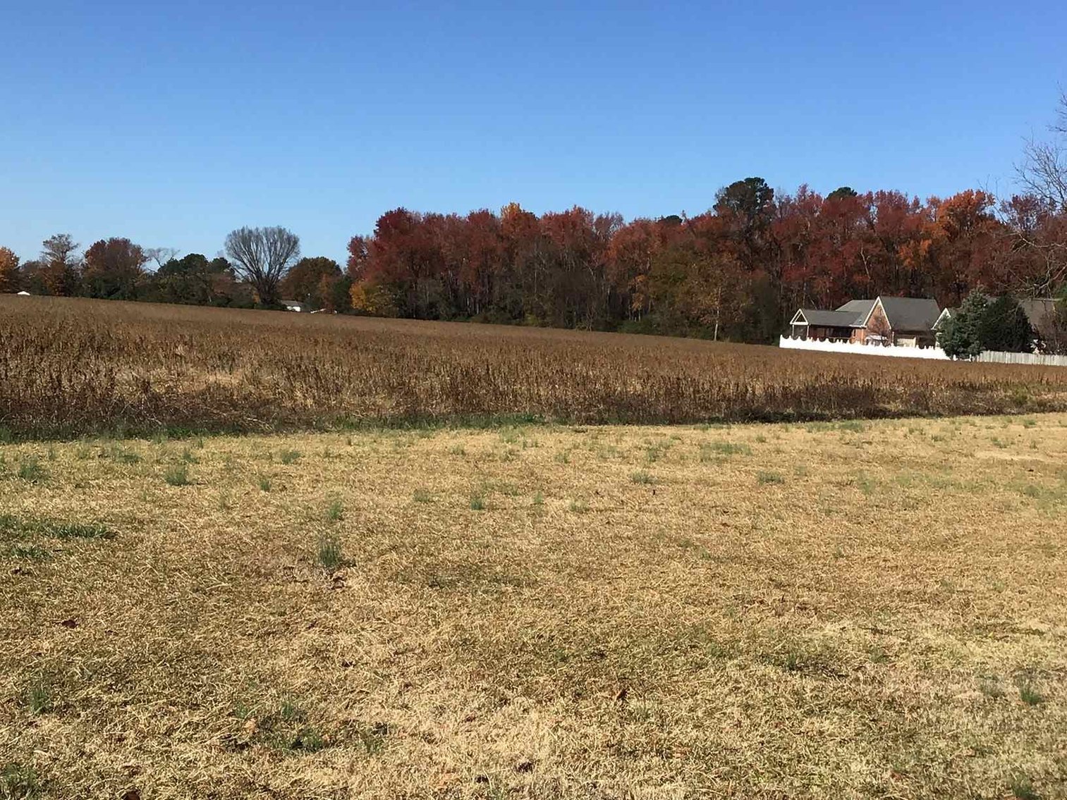 Image for 10 Acres Adjacent to Canterbury Subdivision in Dunn, NC