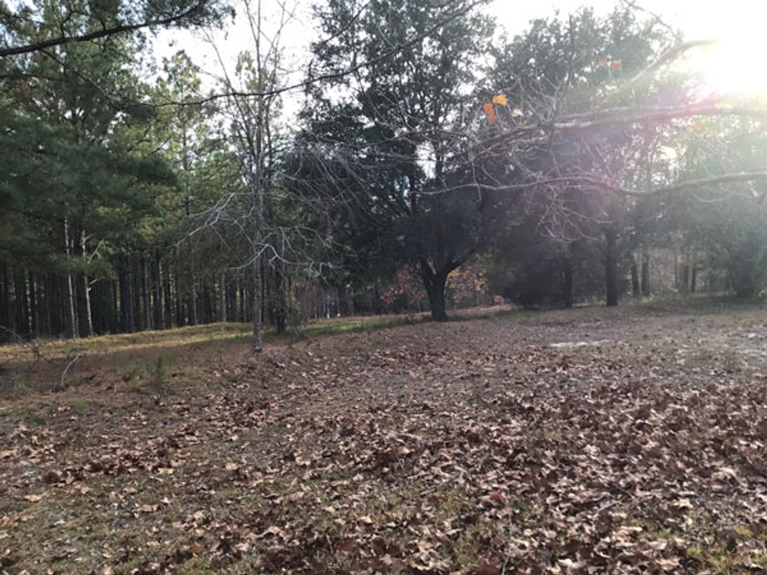 Image for A Brick Ranch Home on nearly 5 acres in Richmond County close to Rockingham, NC.