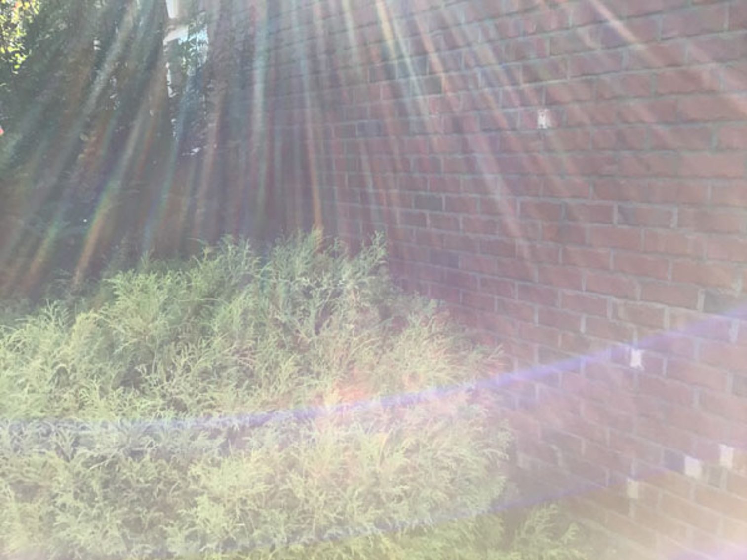 Image for Beautiful Spring Lake Home