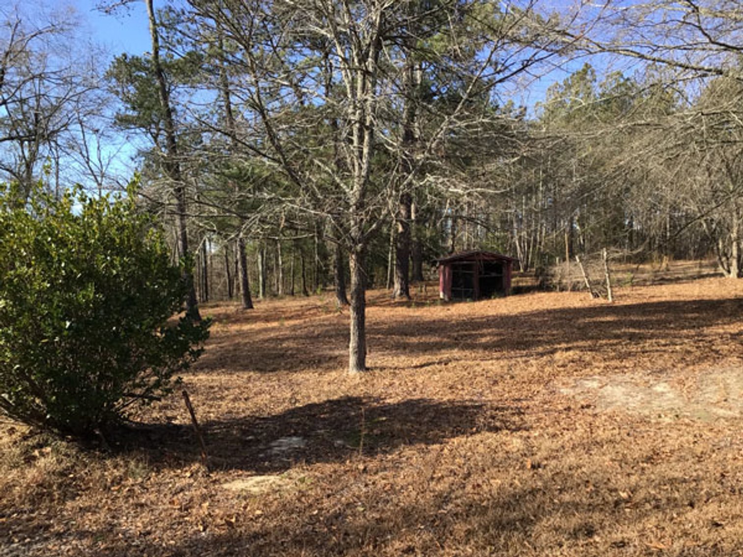 Image for A Brick Ranch Home on nearly 5 acres in Richmond County close to Rockingham, NC.