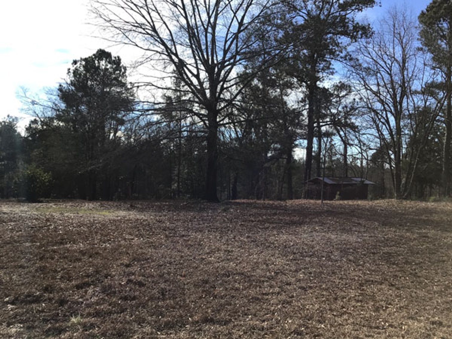 Image for A Brick Ranch Home on nearly 5 acres in Richmond County close to Rockingham, NC.