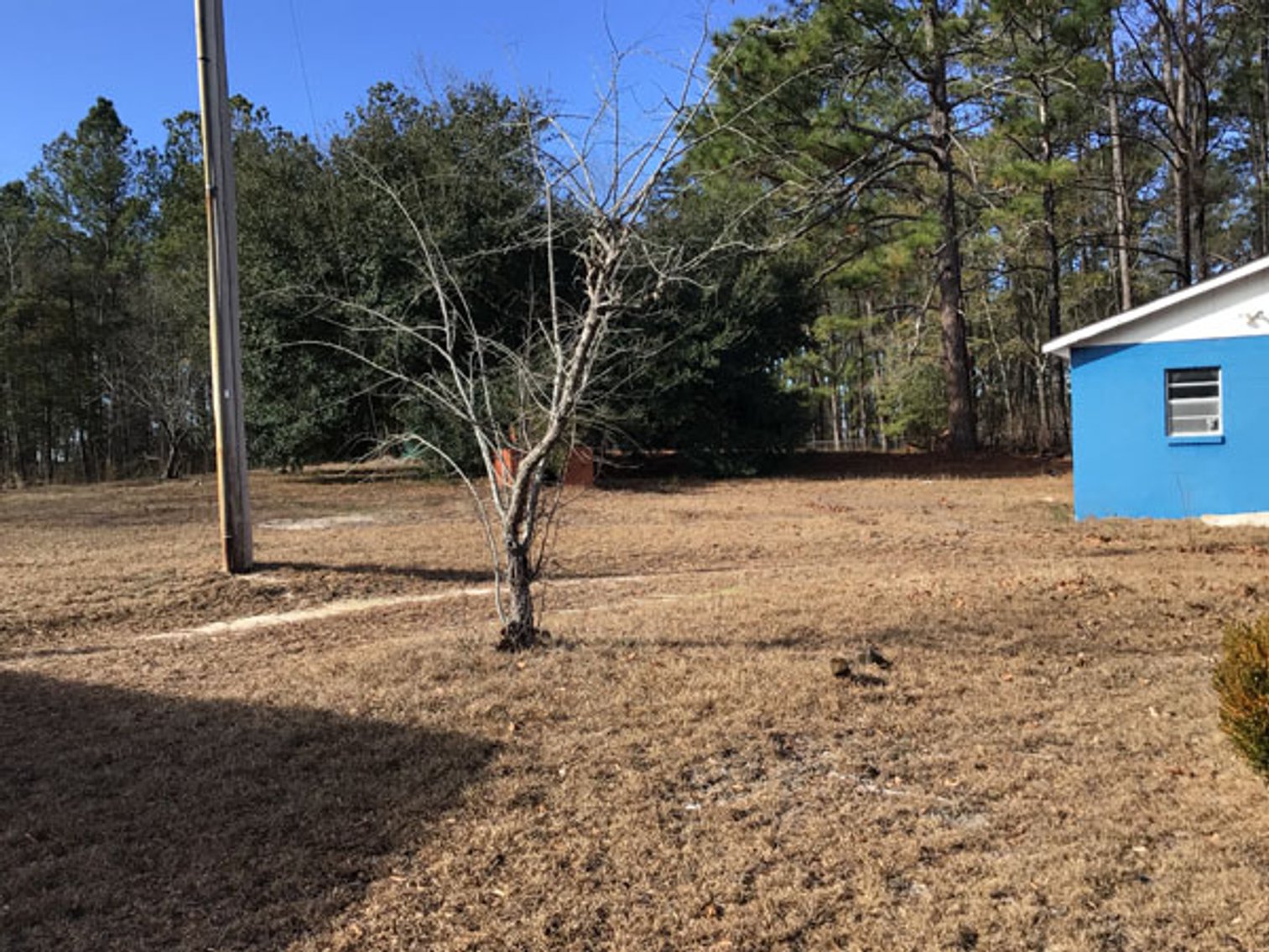 Image for A Brick Ranch Home on nearly 5 acres in Richmond County close to Rockingham, NC.