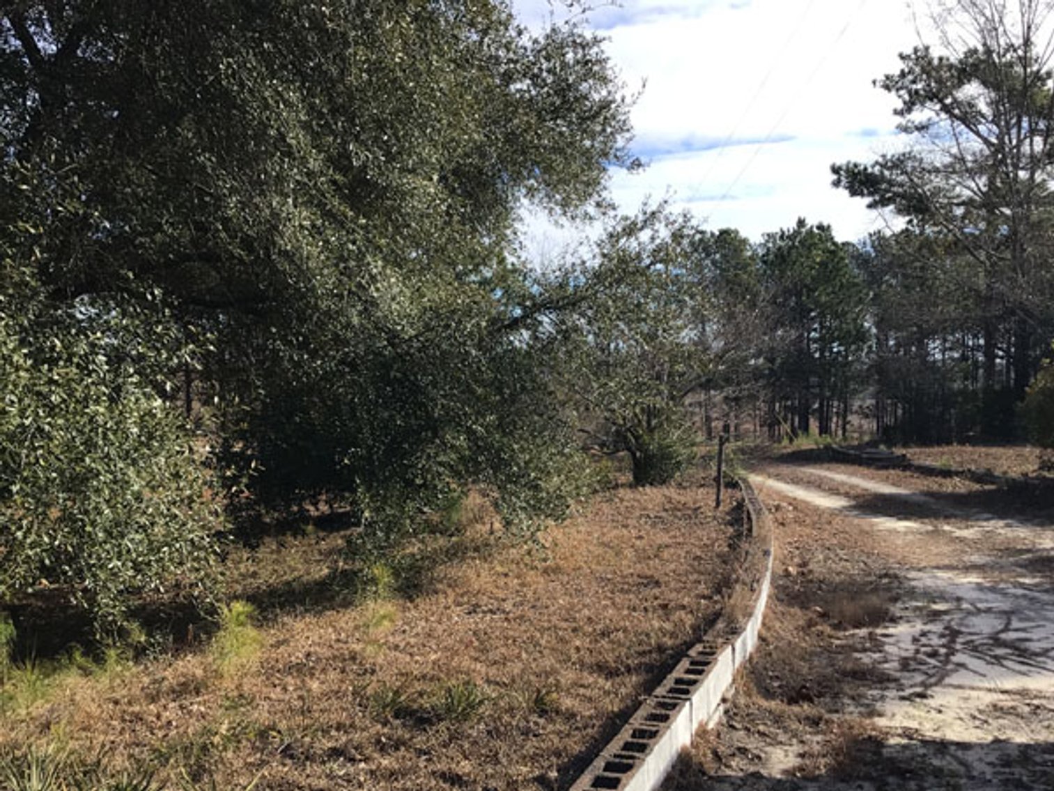 Image for A Brick Ranch Home on nearly 5 acres in Richmond County close to Rockingham, NC.