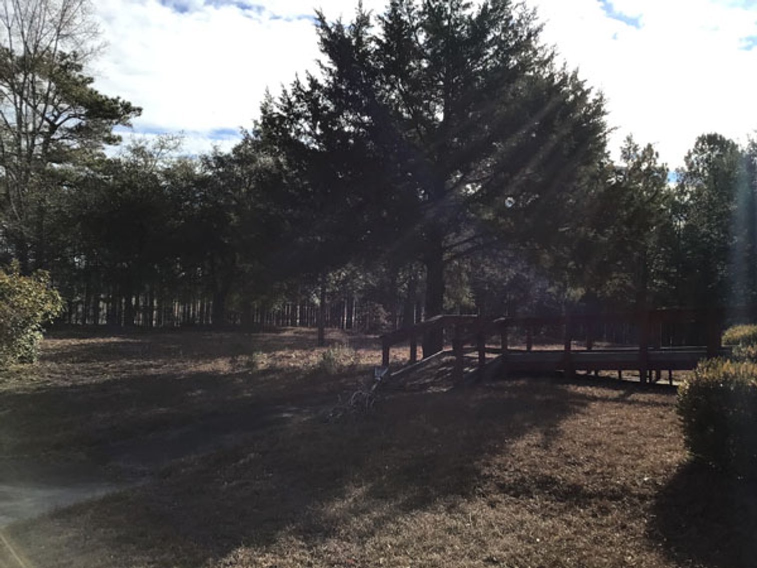 Image for A Brick Ranch Home on nearly 5 acres in Richmond County close to Rockingham, NC.