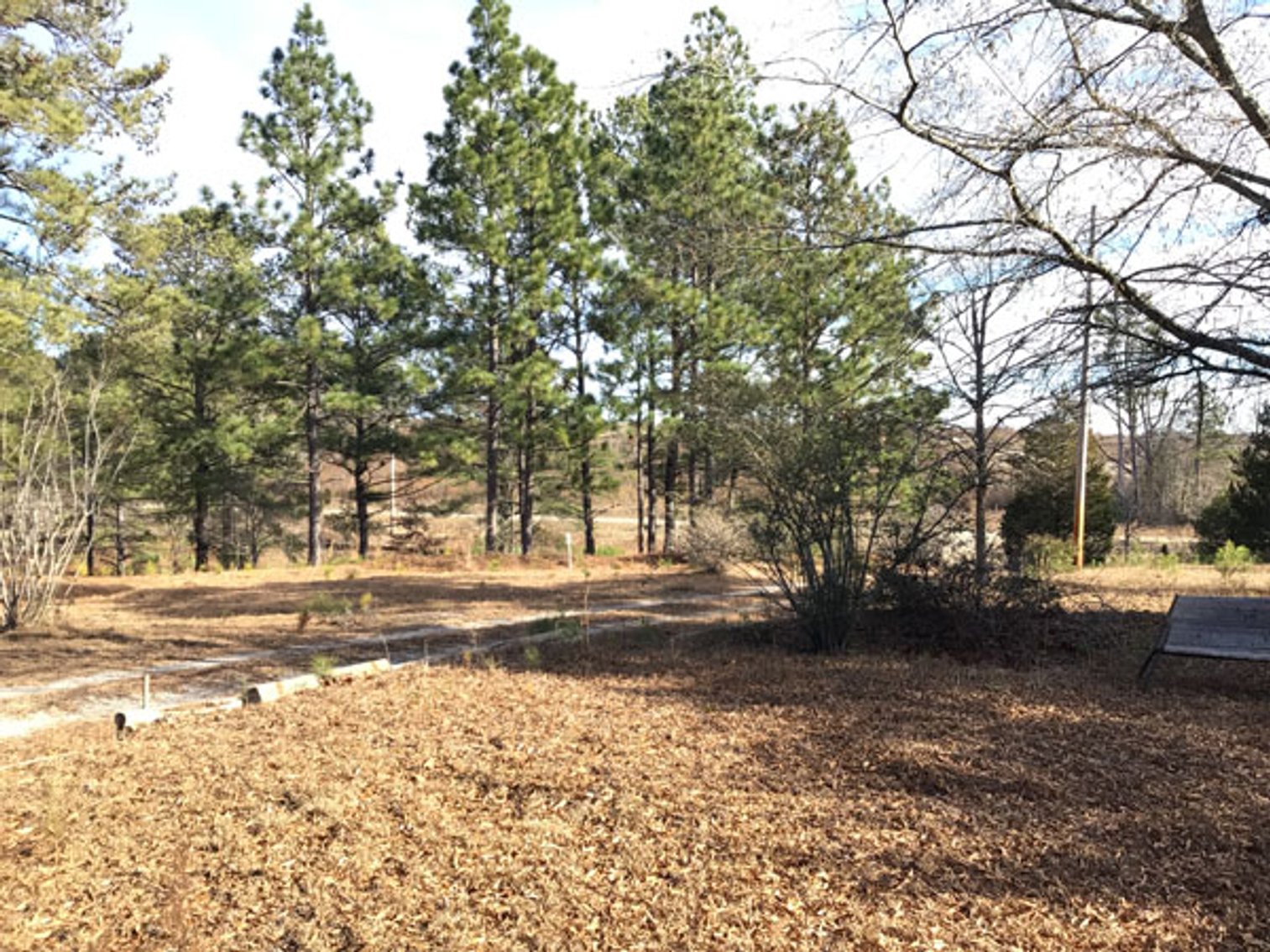 Image for A Brick Ranch Home on nearly 5 acres in Richmond County close to Rockingham, NC.