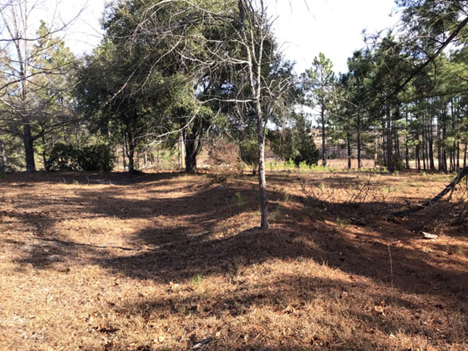 Image for A Brick Ranch Home on nearly 5 acres in Richmond County close to Rockingham, NC.