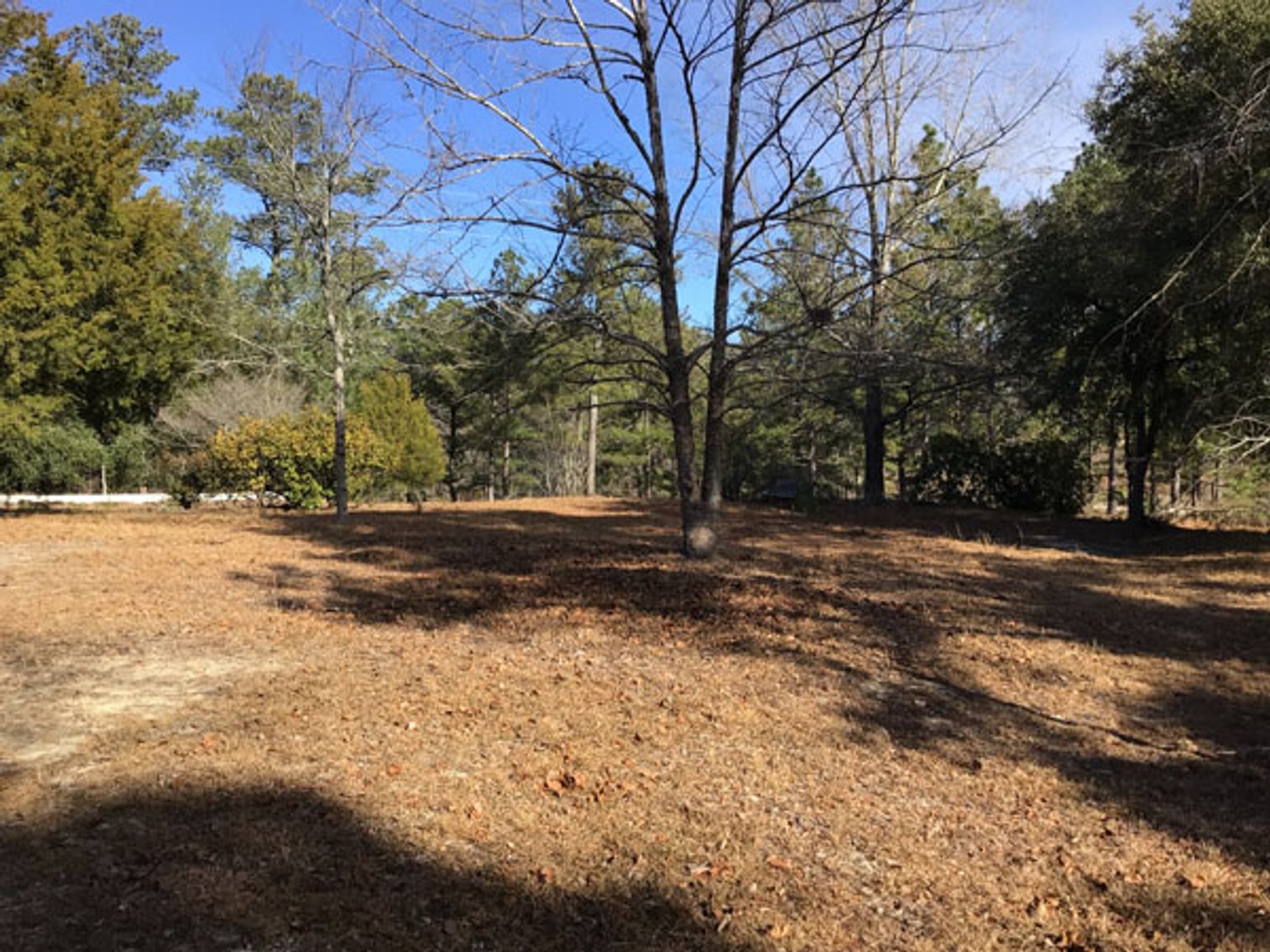 Image for A Brick Ranch Home on nearly 5 acres in Richmond County close to Rockingham, NC.