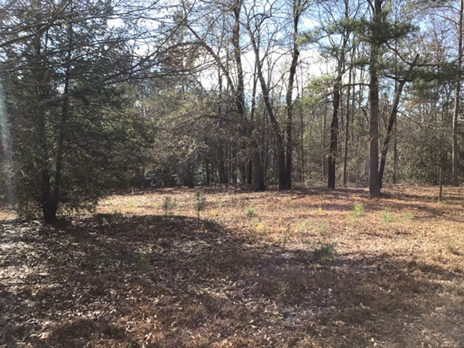 Image for A Brick Ranch Home on nearly 5 acres in Richmond County close to Rockingham, NC.
