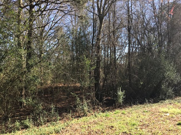 Image for NCDOT 2023 Residue Property Online Only Auction