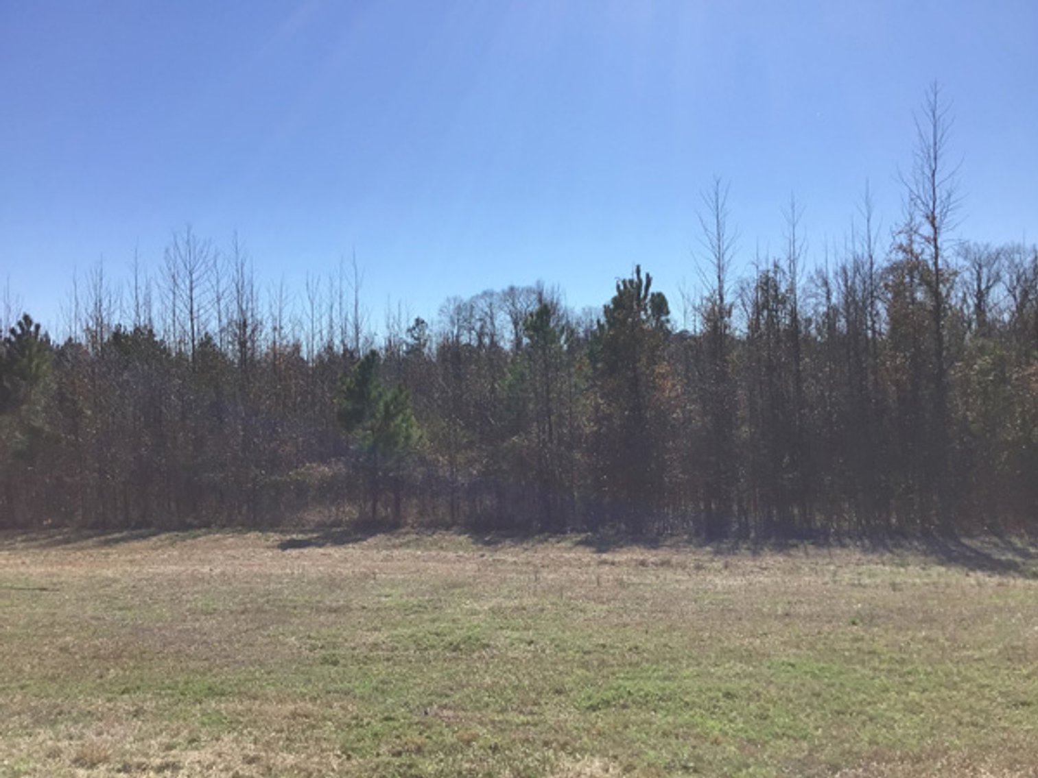 Image for NCDOT 2023 Residue Property Online Only Auction