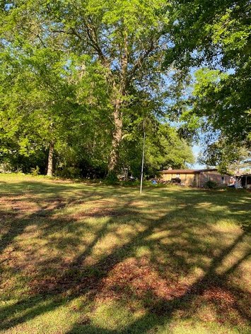 Image for Lot in downtown Angier Selling in a live / onsite / online simulcast Auction!