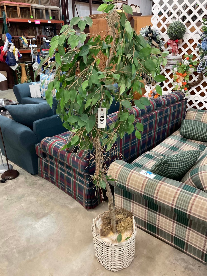 Image for New and Nearly New Thrift Shop Retirement Auction Events - LIVE AUCTION